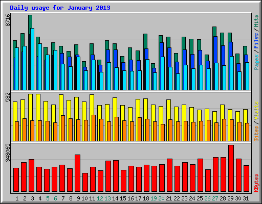 Daily usage for January 2013