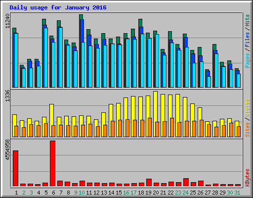 Daily usage for January 2016