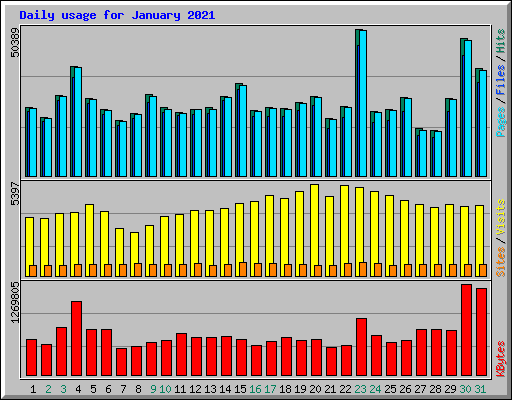 Daily usage for January 2021