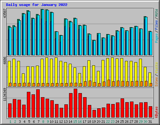 Daily usage for January 2022