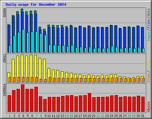Daily usage for December 2024