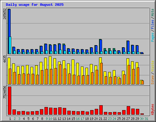 Daily usage for August 2025