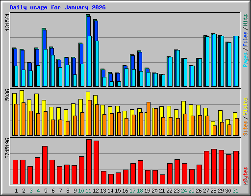 Daily usage for January 2026