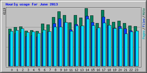 Hourly usage for June 2013