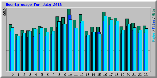 Hourly usage for July 2013