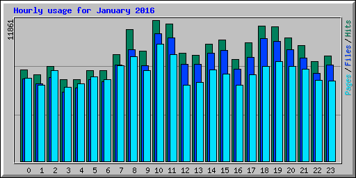 Hourly usage for January 2016