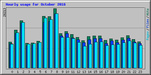 Hourly usage for October 2016