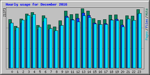 Hourly usage for December 2016