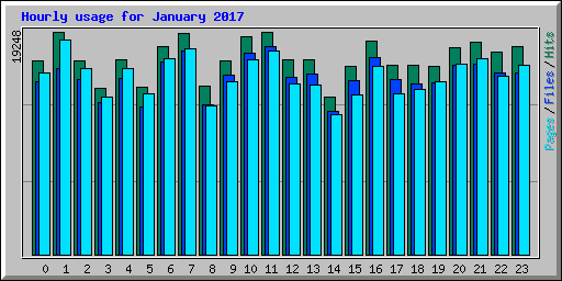 Hourly usage for January 2017