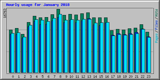 Hourly usage for January 2018