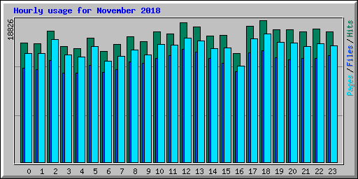 Hourly usage for November 2018