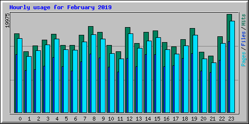 Hourly usage for February 2019