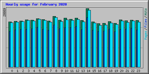 Hourly usage for February 2020