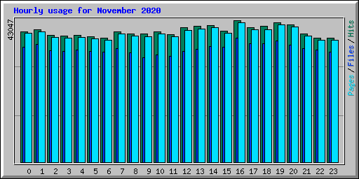 Hourly usage for November 2020