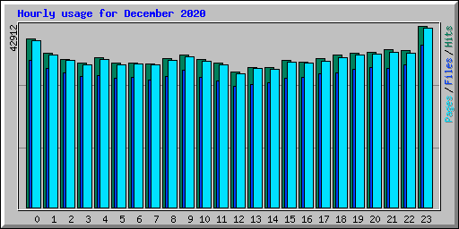 Hourly usage for December 2020