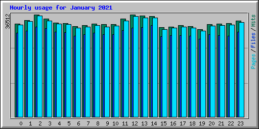 Hourly usage for January 2021