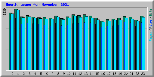 Hourly usage for November 2021