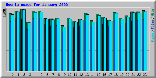 Hourly usage for January 2022