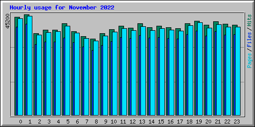 Hourly usage for November 2022
