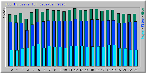 Hourly usage for December 2023