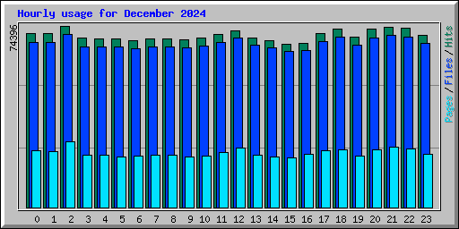 Hourly usage for December 2024