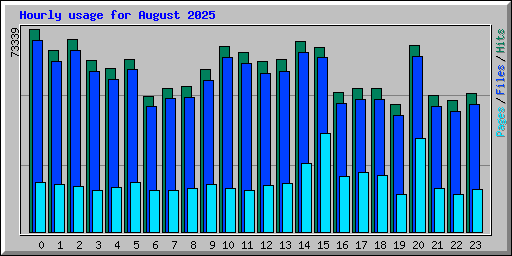 Hourly usage for August 2025