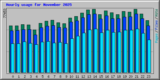 Hourly usage for November 2025