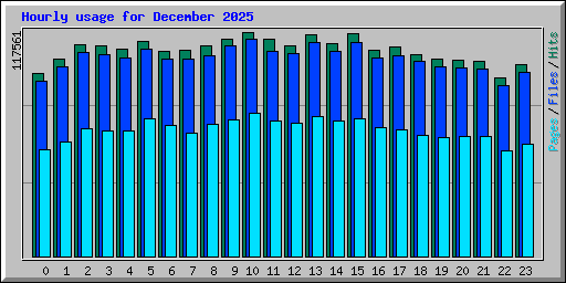 Hourly usage for December 2025