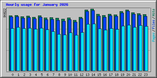 Hourly usage for January 2026