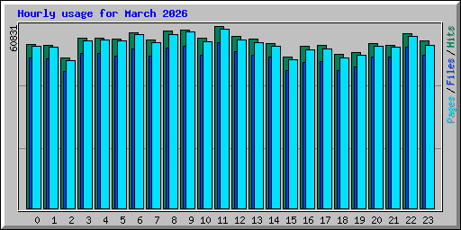 Hourly usage for March 2026